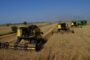 «Эксперт» назвал самые разбогатевшие агрохолдинги России