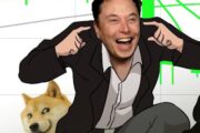 Tesla начнет продавать мерчи за DOGE