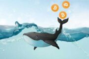На «китовые» биткоин-транзакции все еще приходится большая часть