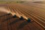 Томская область увеличила производство сельхозпродукции