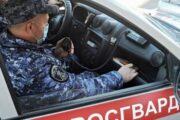 Россиянам запретят хранить дома списанное оружие без ведома Росгвардии