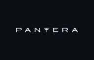 Pantera Capital успели вывести почти 80% своих вложений из Terra до падения