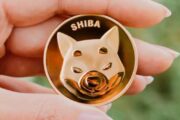 Shiba Inu может стать полезной криптовалютой